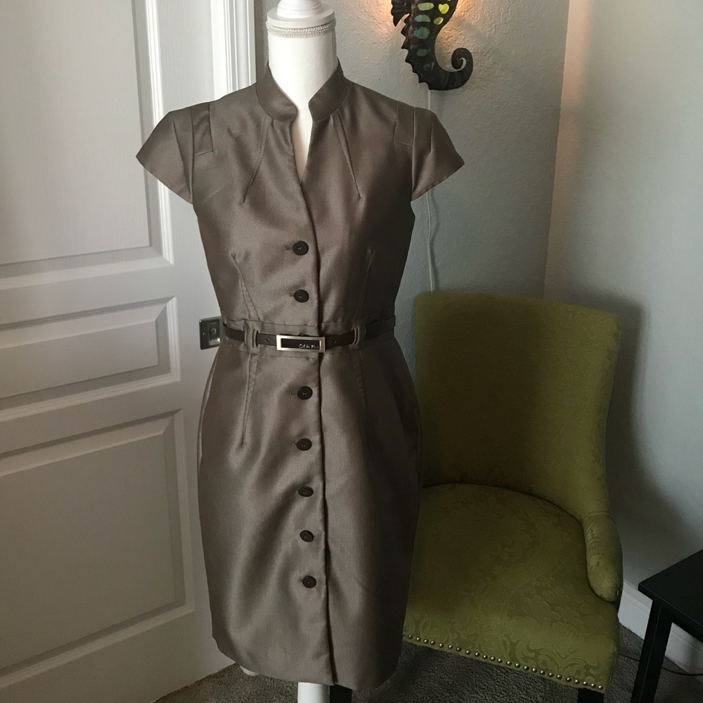 Calvin Klein Gorgeous Fitted Dress
